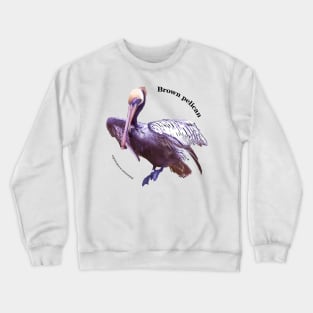 Brown pelican tropical bird pin black text Crewneck Sweatshirt